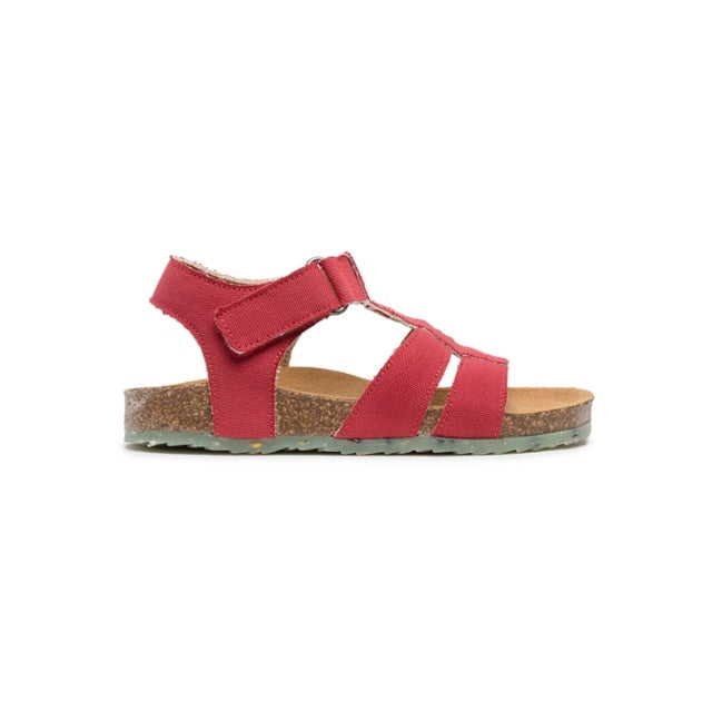FISH Red