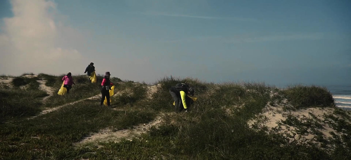 Voluntários a recolher plástico nas dunas da costa portuguesa