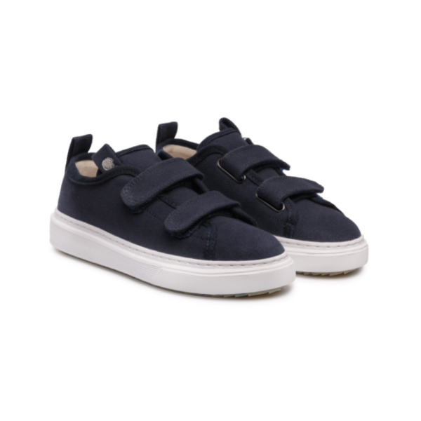 WHALE Blue 4