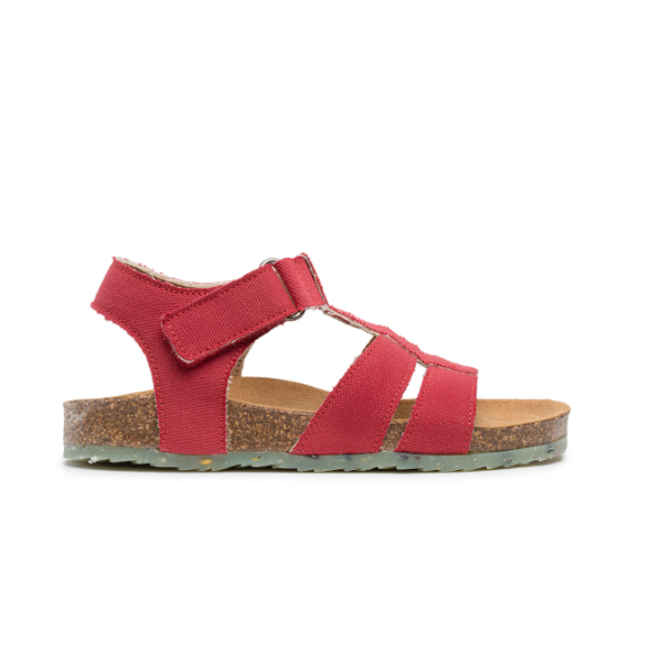 FISH Red 3