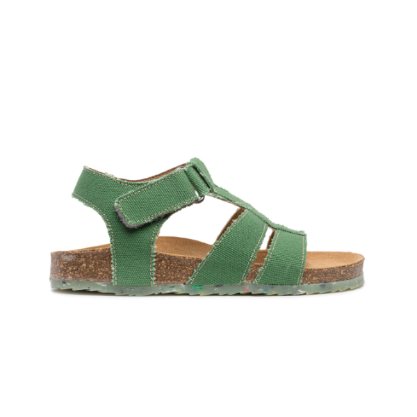 FISH Green 3