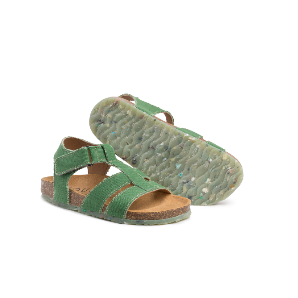FISH Green 5